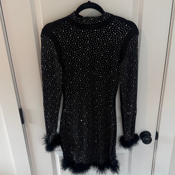 Black Dress with Rhinestones and Feather Trim - Picture 5 of 5